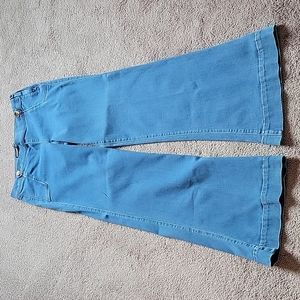 Express Wide Leg Flare Jeans